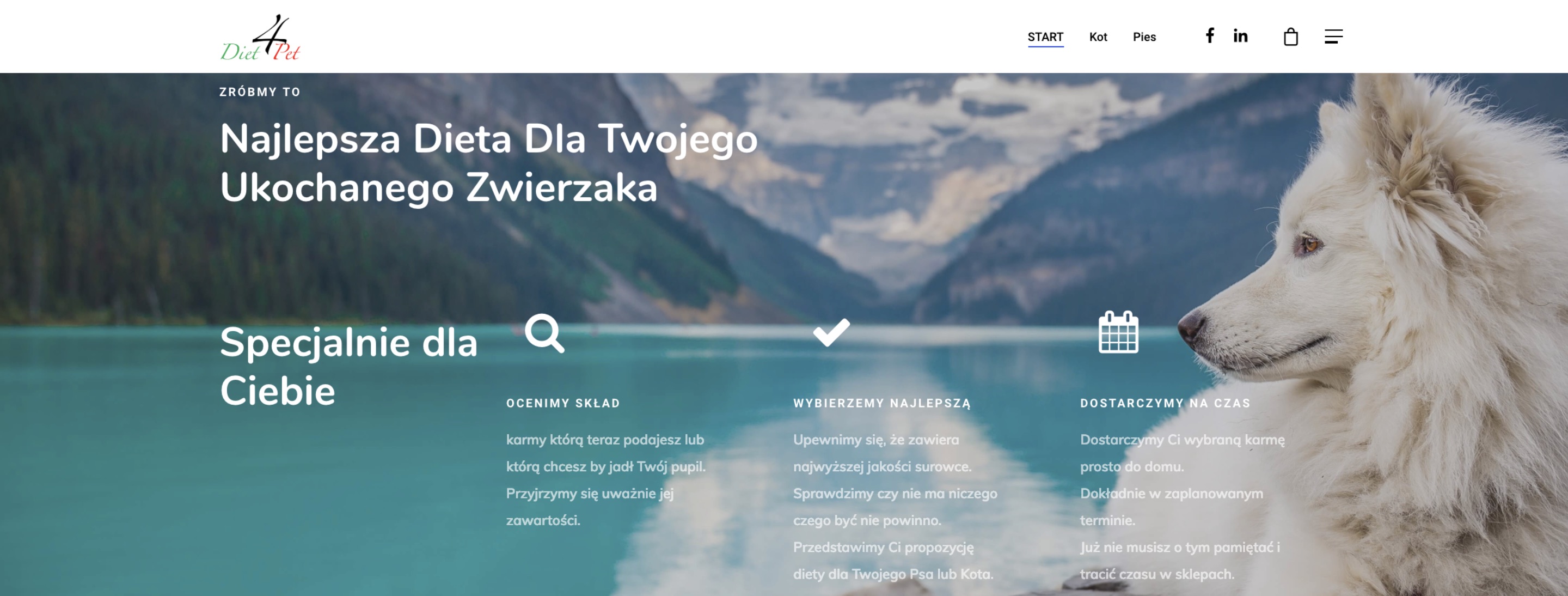 Strona Główna | Diet4Pet